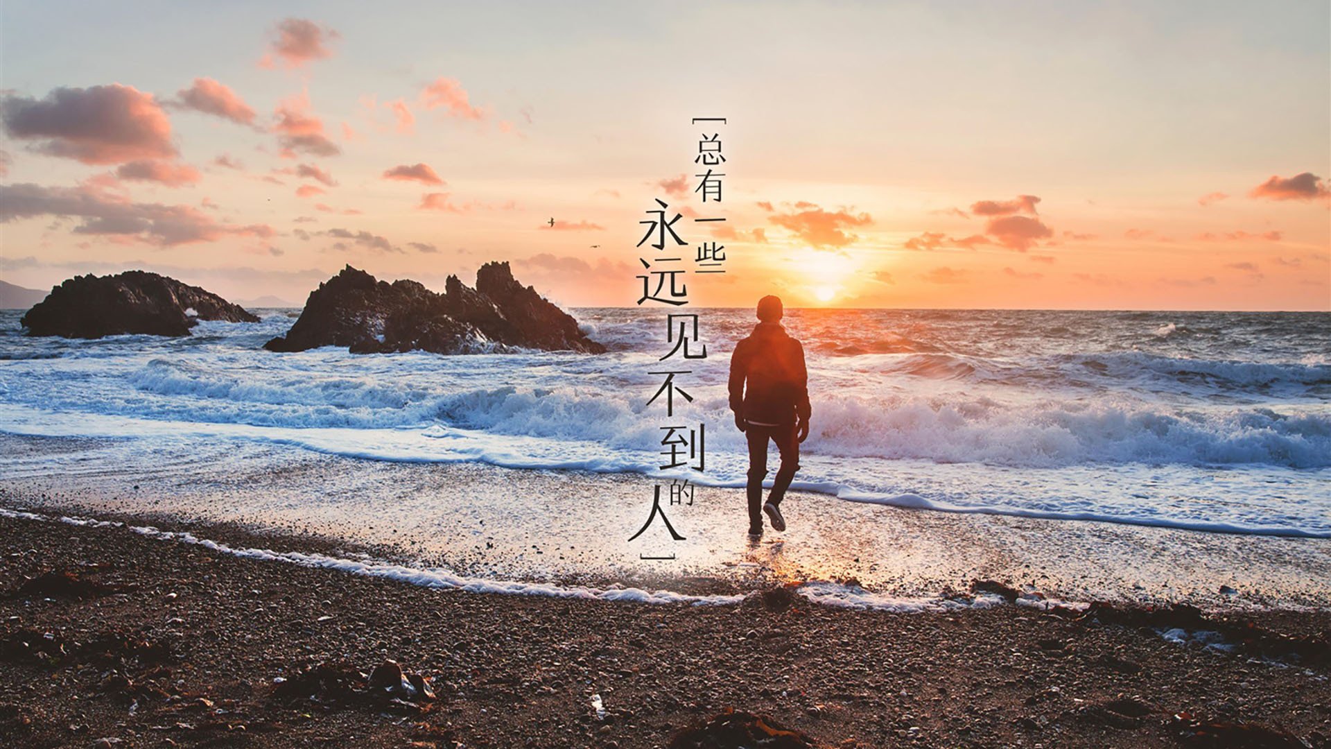 助攻追平：北京队22次助攻完胜对手，展现团队配合！，北京队比赛